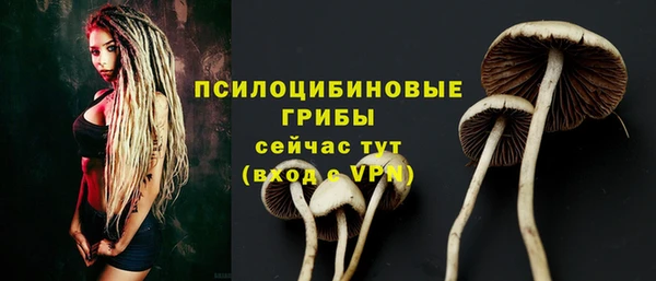 молекула духа Абинск