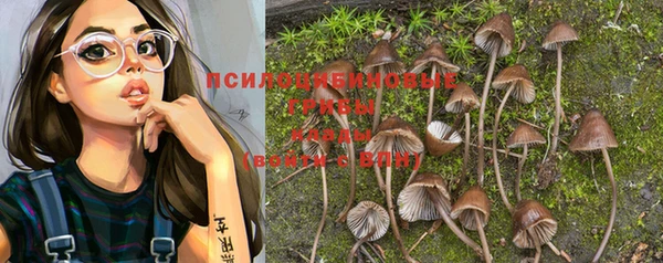 молекула духа Абинск