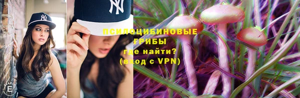 молекула духа Абинск