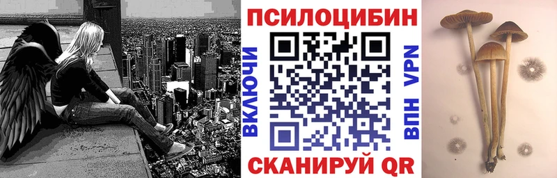 где можно купить наркотик  Кашира  Галлюциногенные грибы ЛСД 